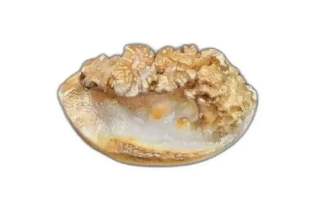 chandra mani original