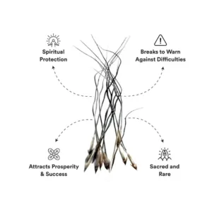 Raj Mohini Attraction Jadi energized authentic spiritual root