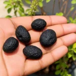 Tektite and Saffordite stone