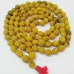 putra jeeva mala original