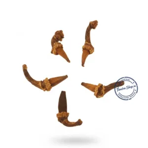 Set of five Tantrik Laxmi Laung cloves energized for wealth attraction on a red cloth