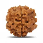 1 FACE NEPALI RUDRAKSHA