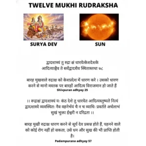 12 MUKHI RUDRAKSHA