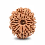 13 FACE NEPALI RUDRAKSHA