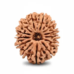 13 FACE NEPALI RUDRAKSHA