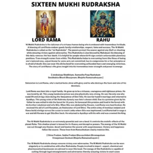 16 MUKHI RUDRAKSHA