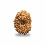 17 FACE NEPALI RUDRAKSHA