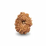 18 FACE NEPALI RUDRAKSHA