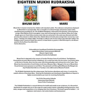 18 MUKHI RUDRAKSHA