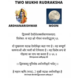 2 MUKHI RUDRAKSHA