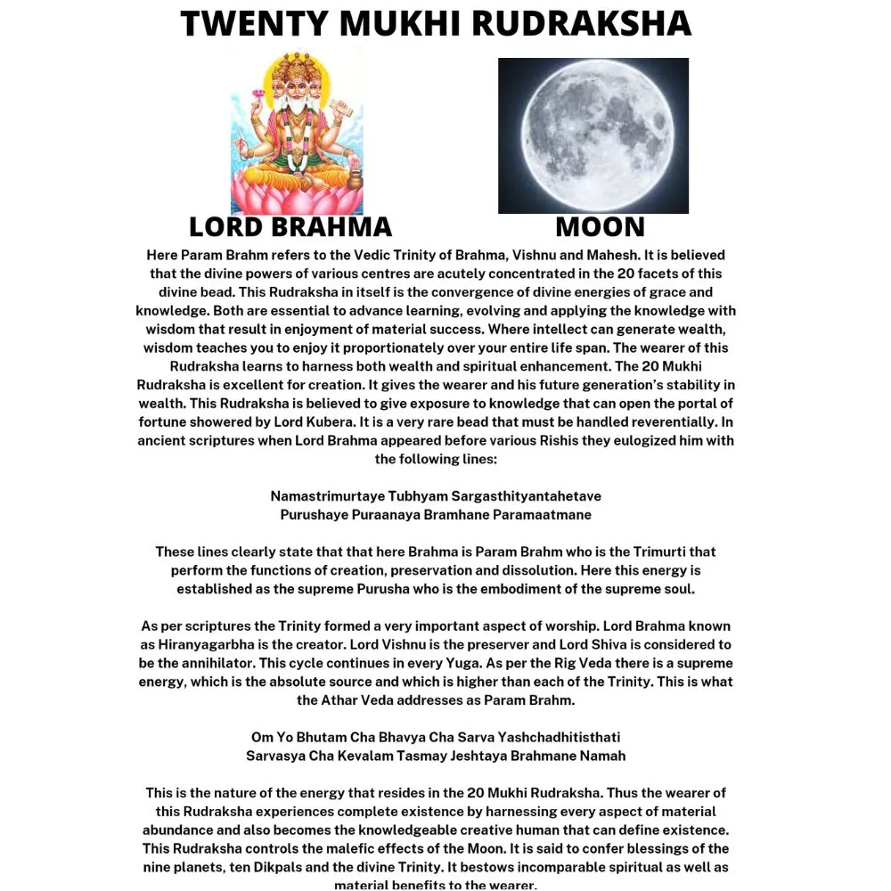 20 MUKHI RUDRAKSHA 20 MUKHI RUDRAKSHA