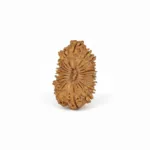 21 FACE NEPALI RUDRAKSHA