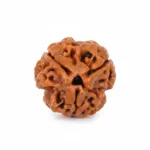 3 FACE NEPALI RUDRAKSHA