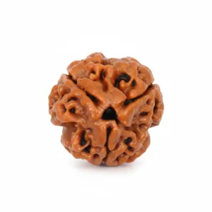 3 FACE NEPALI RUDRAKSHA