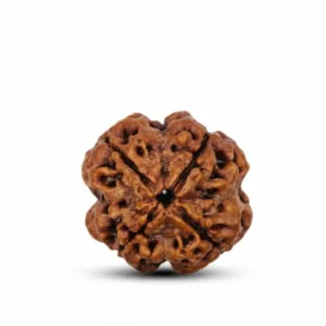 4 FACE NEPALI RUDRAKSHA