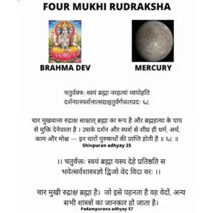 4 MUKHI RUDRAKSHA