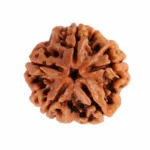 5 FACE NEPALI RUDRAKSHA