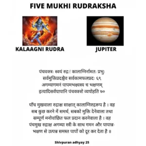 5 MUKHI RUDRAKSHA