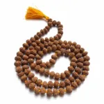 7 mukhi rudraksha mala