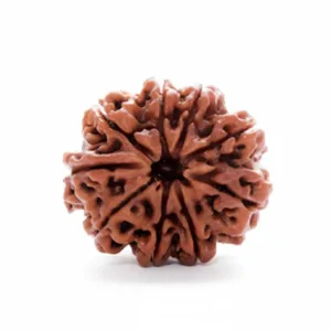 9 FACE NEPALI RUDRAKSHA