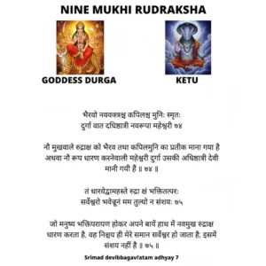 9 MUKHI RUDRAKSHA