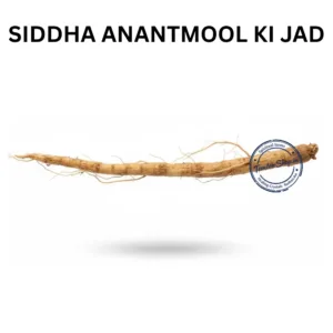 ANANTMOOL KI JAD INDIAN SARSAPARILLA ROOT