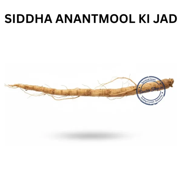 ANANTMOOL KI JAD INDIAN SARSAPARILLA ROOT