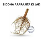 APARAJITA SHANKHPUSHPI KI JAD BUTTERFLY PEA ROOT