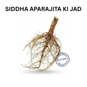 APARAJITA SHANKHPUSHPI KI JAD BUTTERFLY PEA ROOT