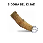 BEL KI JAD BAEL ROOT - Sun planet (Surya grah)