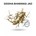 BHARANGI SARPAGANDHA KI JAD BLUE GLORY ROOT