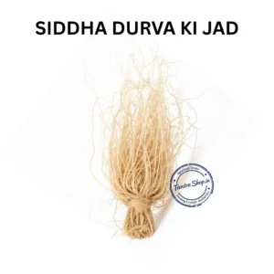 DURVA KI JAD DURVA ROOT