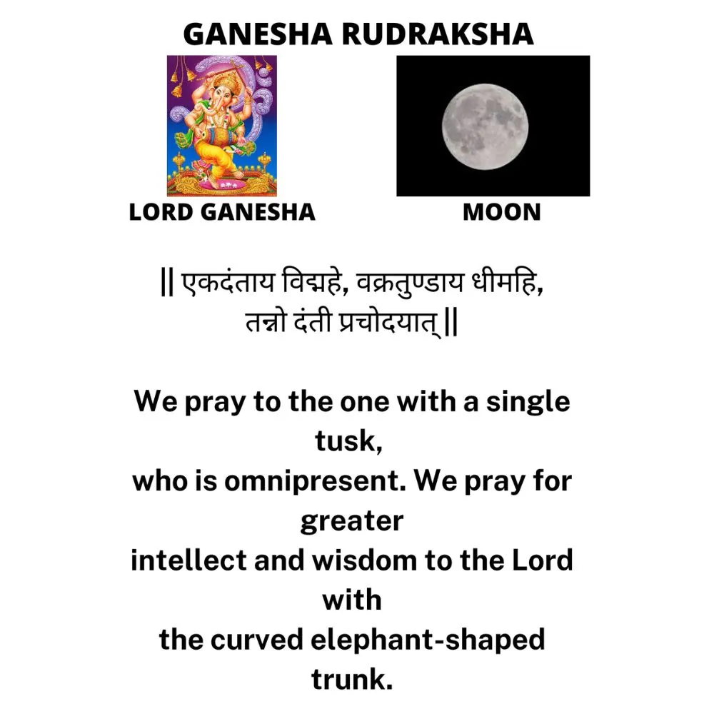 GANESH RUDRAKSHA GANESH RUDRAKSHA