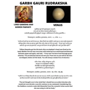 GARBH GAURI RUDRAKSHA