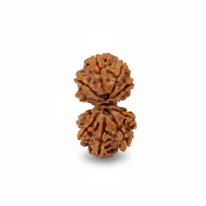GAURI SHANKAR NEPALI RUDRAKSHA