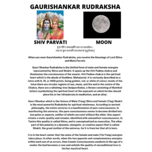 GAURI SHANKAR RUDRAKSHA