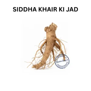 KHAIR KI JAD KHAIR ROOT