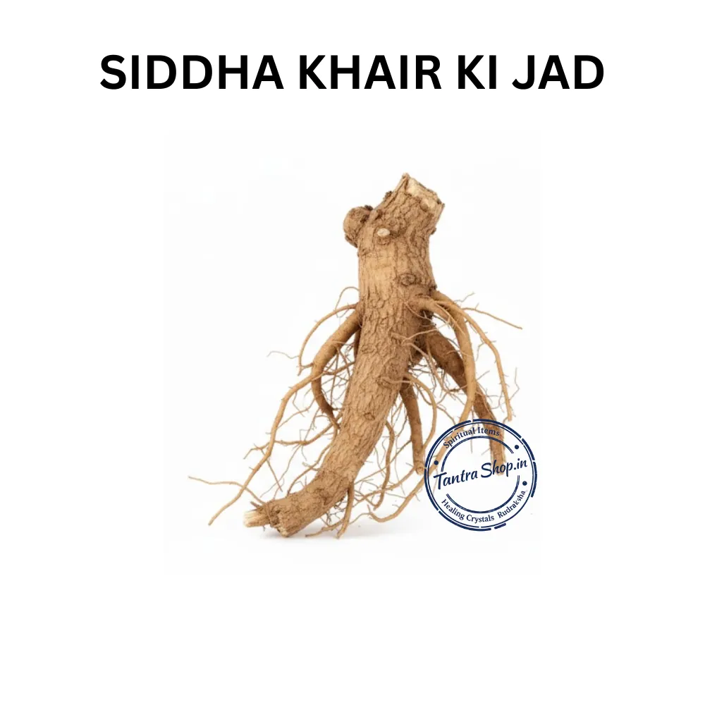 KHAIR KI JAD KHAIR ROOT KHAIR KI JAD KHAIR ROOT