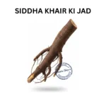 KHAIR KI JAD SENEGALIA CATECHU ROOT