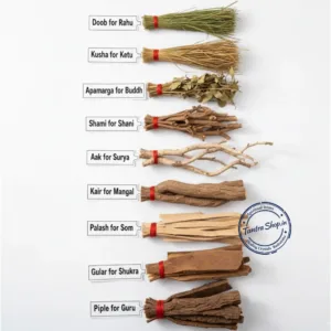 NAVGRAHA LAKDI SAMIDHA SET