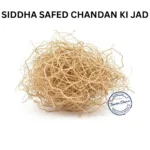 SAFED CHANDAN KI JAD WHITE SANDALWOOD ROOT
