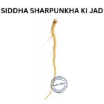 SHRAPUNKHA KI JAD TEPHROSIA PURPUREA ROOT