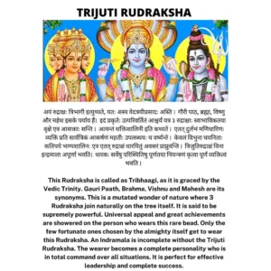 TRIJUTI RUDRAKSHA