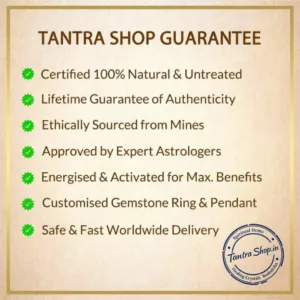 certified and energized rudraksha stone