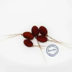 Mona Moni Aakarshan Jadi original energized attraction root pair