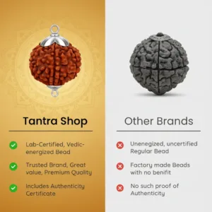 rudraksha compare