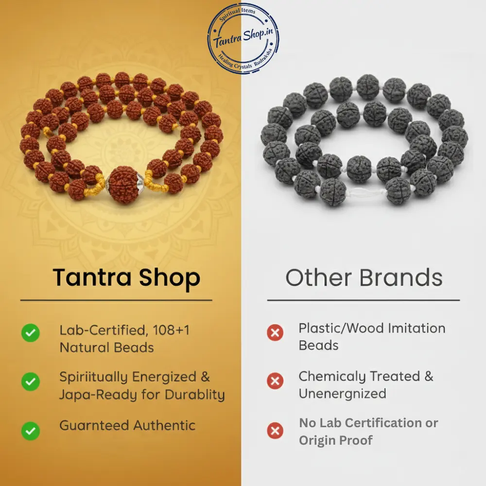 rudraksha mala compair tantra shop rudraksha mala compair tantra shop