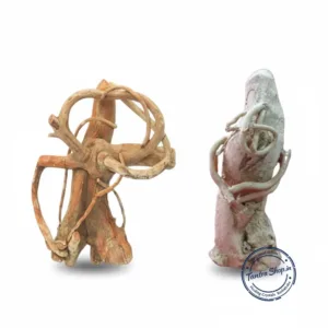 shwetark ganapati original