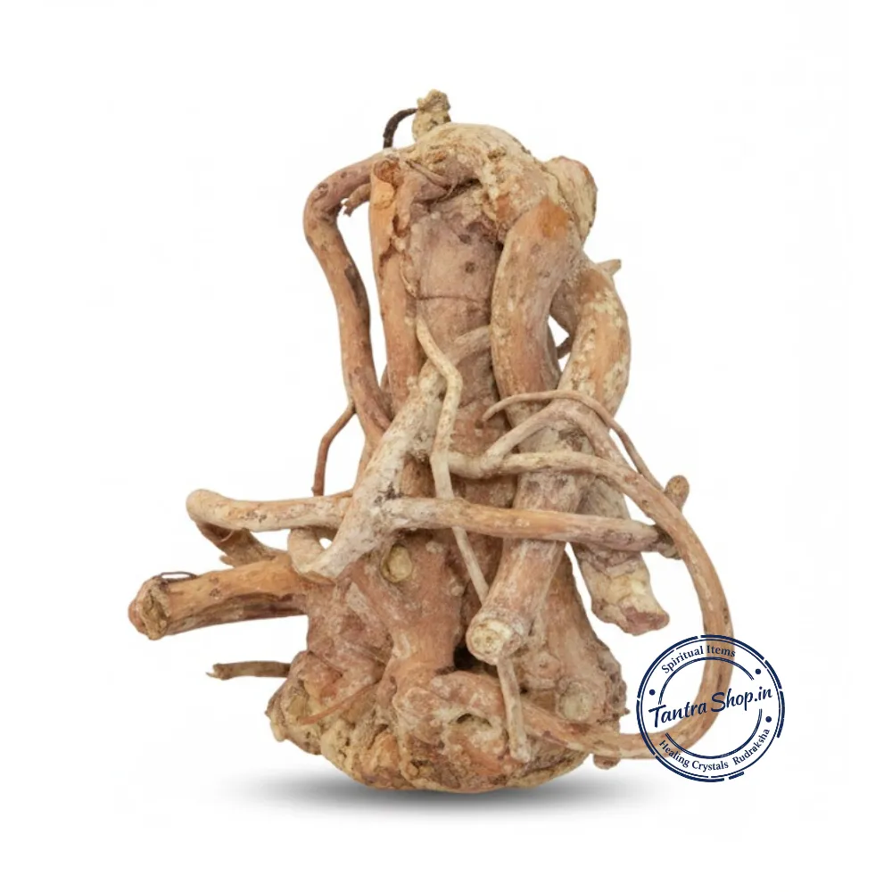 shwetark ganapati original shwetark ganapati original