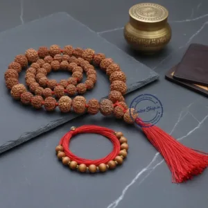 Close up original indonesia rudraksha mukhi lines